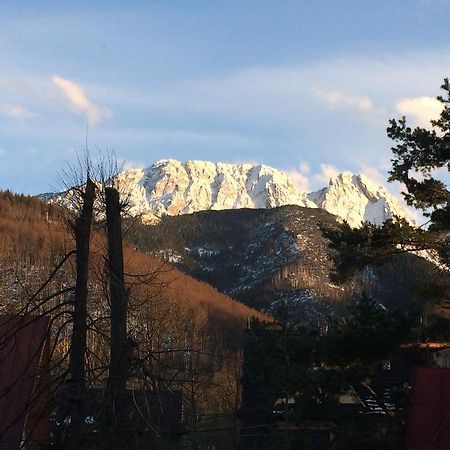 Dom Wypoczynkowy Jadzia Zakopane Bagian luar foto