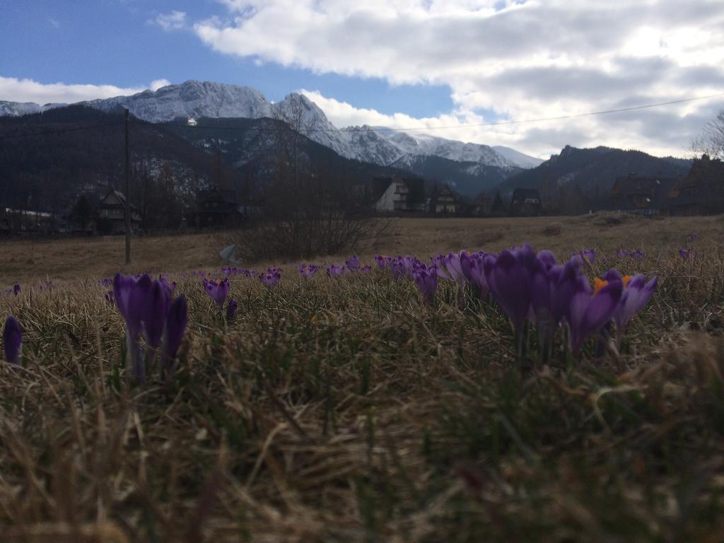 Dom Wypoczynkowy Jadzia Zakopane Bagian luar foto