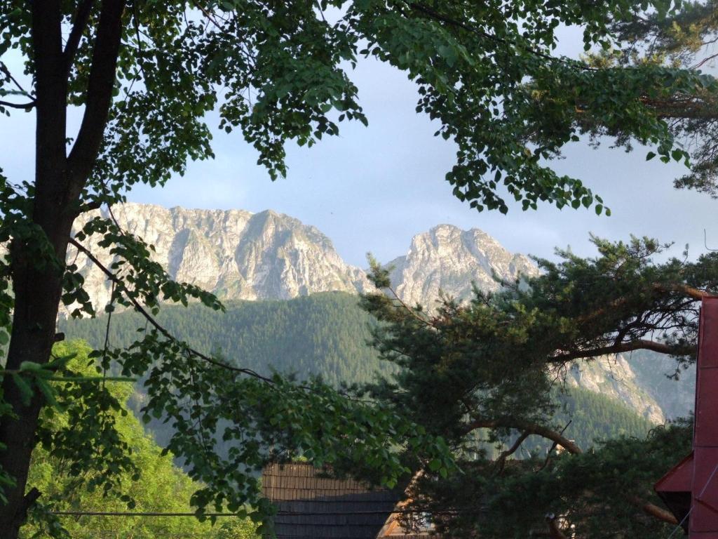 Dom Wypoczynkowy Jadzia Zakopane Bagian luar foto